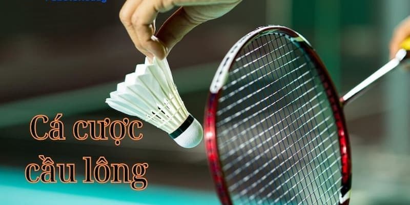 Tổng quan về Cá Cược Cầu Lông